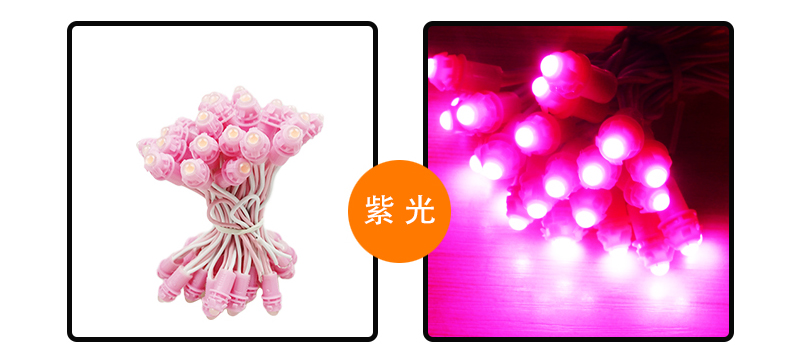 紫色led外露燈
